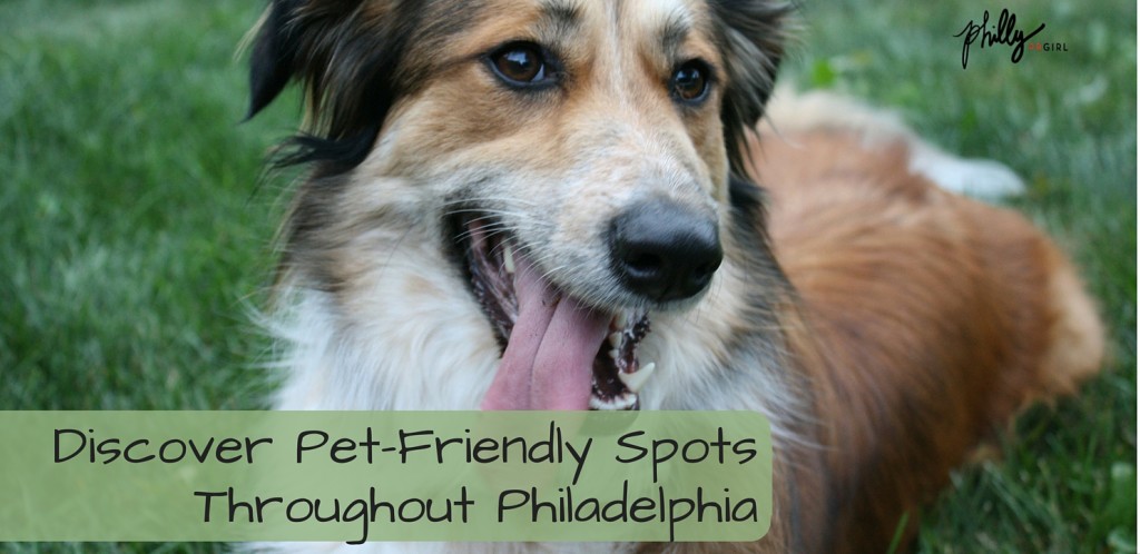 pet-friendly places in philly