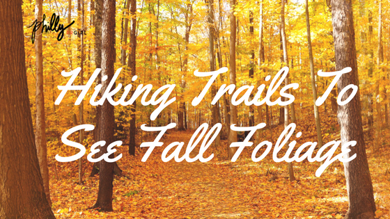 hiking-trails-to-see-fall-foliage