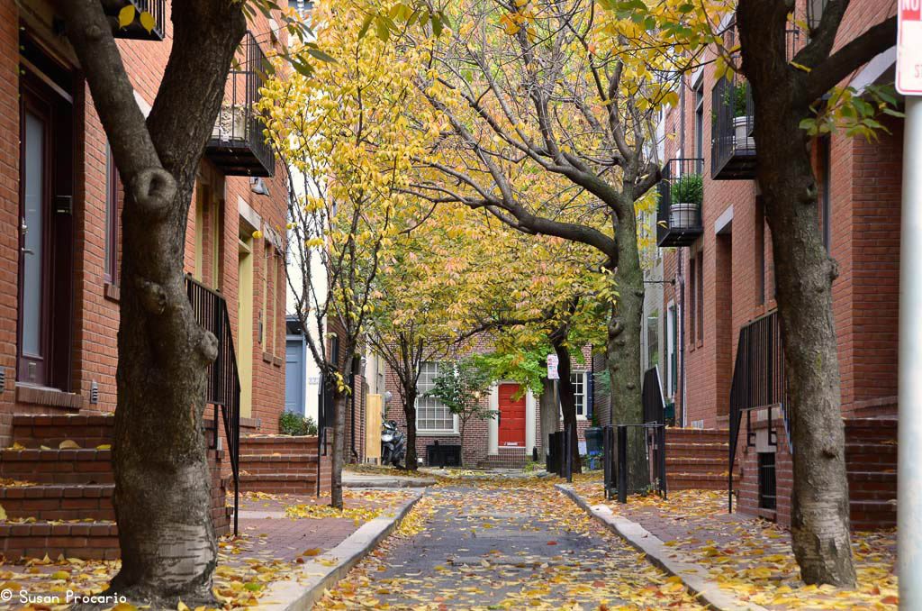10 Ways to Celebrate the Start of Fall in Philly