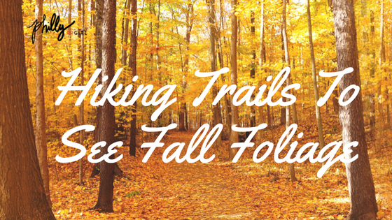 Hiking Trails To See Fall Foliage